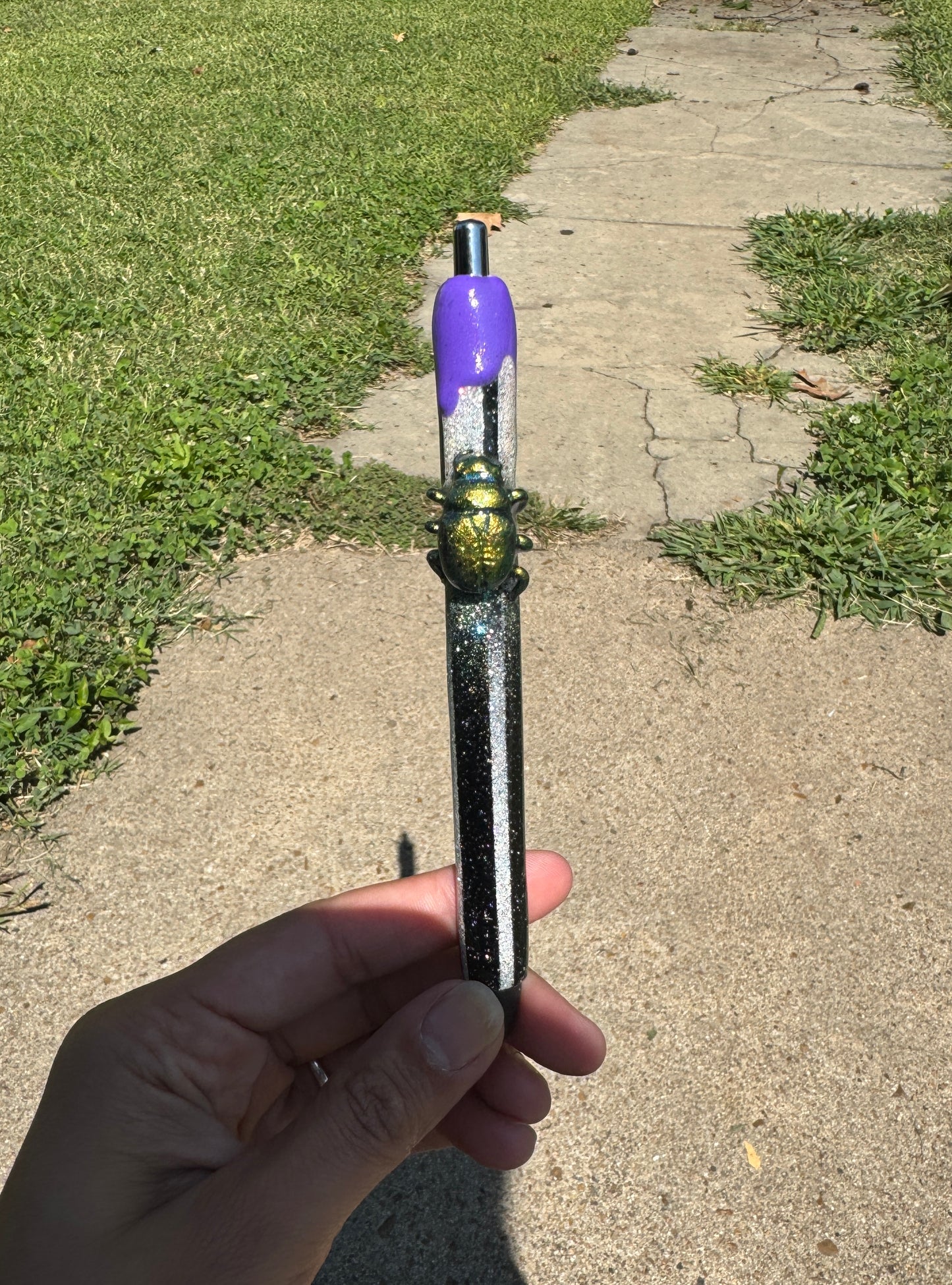 {RTS} 3D Beetle Pen